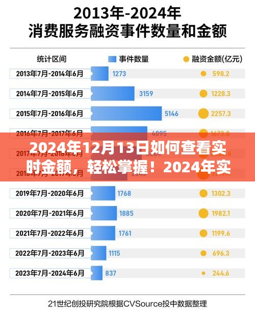 2024年实时金额查看指南，轻松掌握每日动态