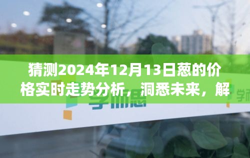 以2024年12月13日为观察点，葱价实时走势分析与未来预测