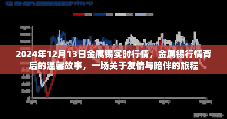 金属锡行情背后的温情故事，友情与陪伴的旅程（2024年12月13日实时行情）