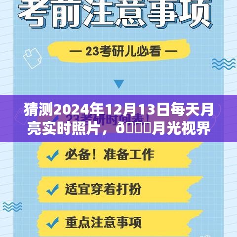 小鸟伊人 第2页