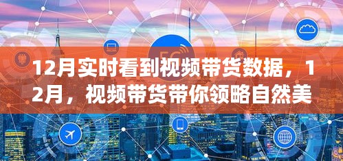 12月视频带货领略自然美景，启程内心的宁静之旅