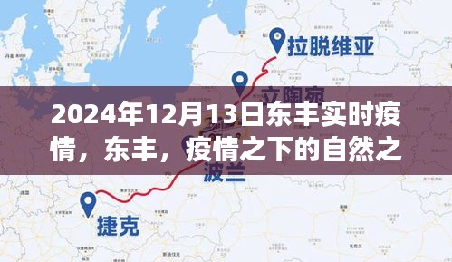 东丰疫情下的自然之旅，寻找内心的宁静与力量（实时更新）