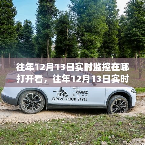 往年12月13日实时监控服务详解,开启方式、特性体验、竞品对比及用户需求洞察解析