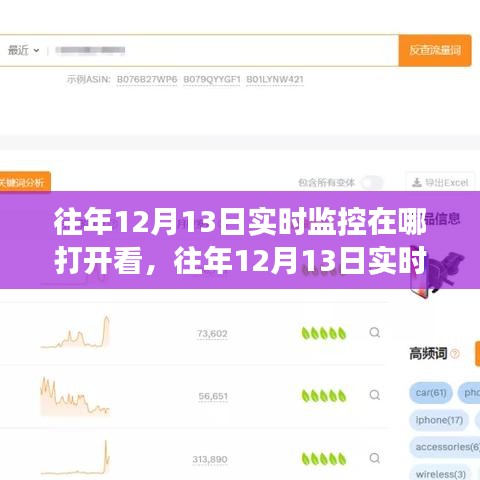 往年12月13日实时监控服务详解,开启方式、特性体验、竞品对比及用户需求洞察解析