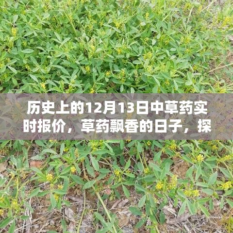 历史上的草药行情,探寻自然美景与内心平静的草药飘香日(12月13日)