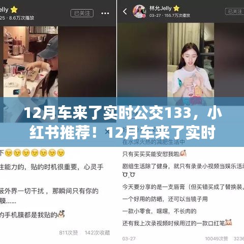 12月车来了实时公交133全新上线，小红书推荐助你出行更便捷