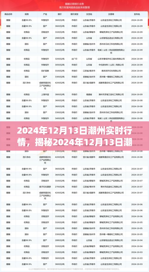 深度解析，潮州实时行情揭秘与商机洞察（2024年12月13日）