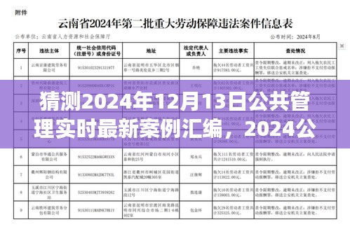 2024公共管理新视界，实时案例汇编与自然美景的心灵启示录