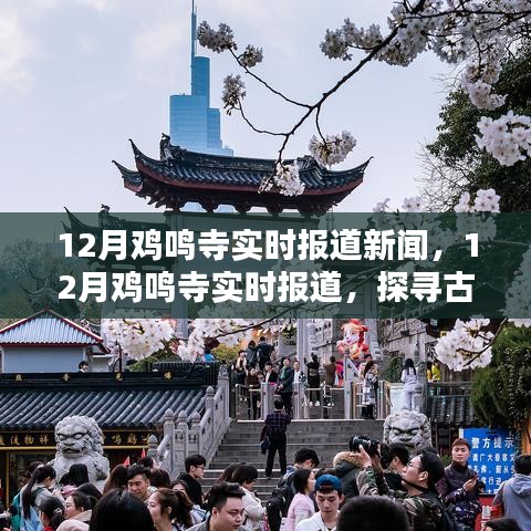 探寻古寺新貌与节日盛况，鸡鸣寺十二月实时报道新闻