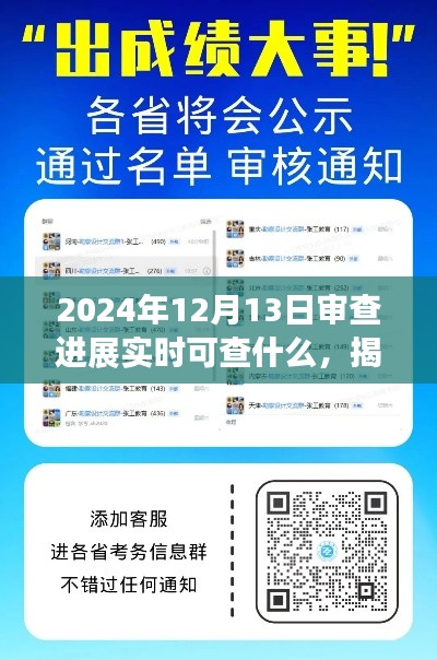 揭秘，2024年审查进展实时查询指南，最新动态尽在掌握！