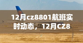 全面评测与介绍，12月CZ8801航班实时动态