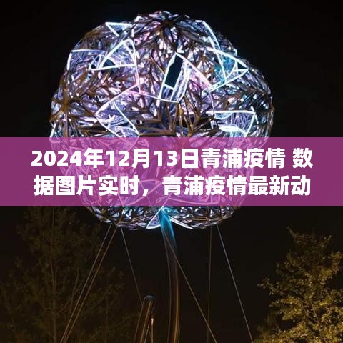 青浦疫情实时数据图片更新，最新动态与数据报告