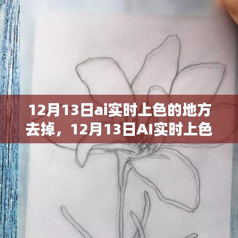 12月13日AI实时上色功能调整,审视正反两面及未来走向