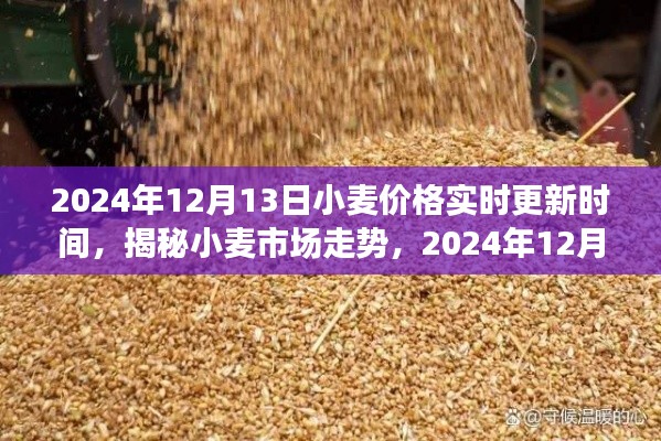 揭秘小麦市场走势，2024年小麦价格实时更新及市场预测