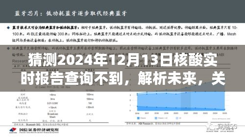 关于未来核酸实时报告查询的探讨，预测与解析2024年12月13日的查询无果现象。