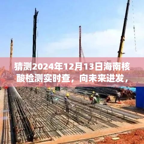 海南核酸检测实时查，迈向未来之旅的蜕变之路（猜测2024年12月13日）