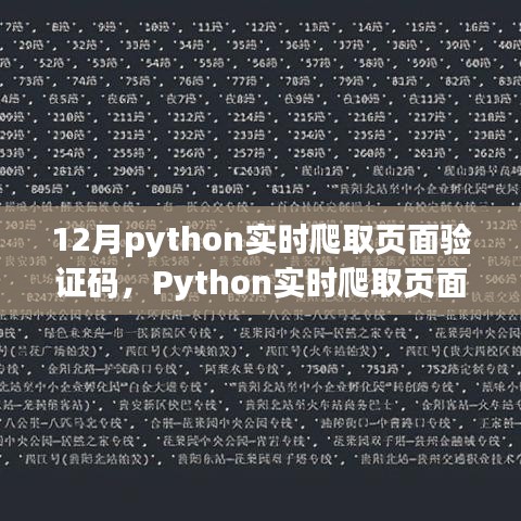 Python实时爬取页面验证码技术解析与操作指南