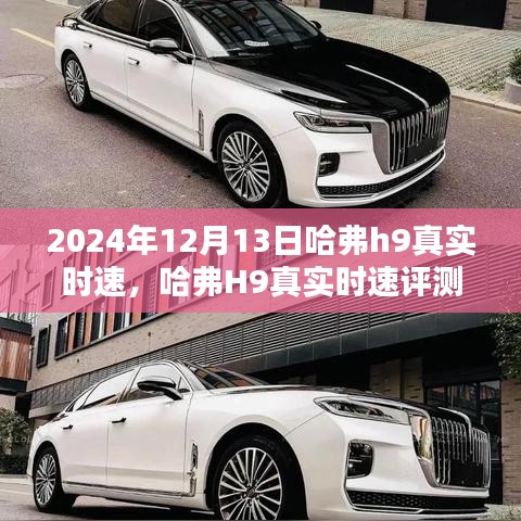 哈弗H9真实时速评测与深度分析，特性、使用体验与目标用户群体解析（2024最新版）