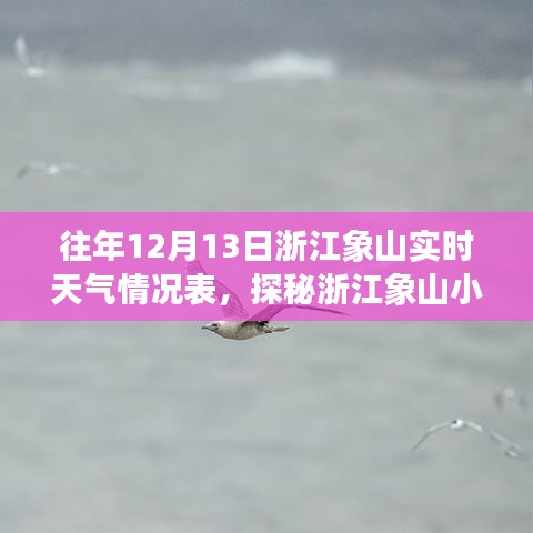 浙江象山实时天气与小巷特色小店探秘，隐藏在天气中的惊喜