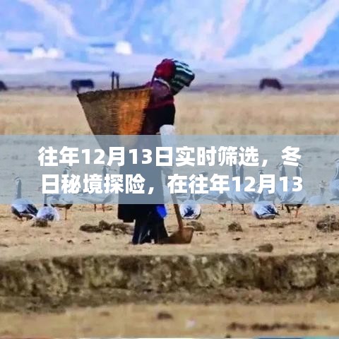 冬日秘境探险，在往年12月13日的自然美景中寻找心灵平静之旅