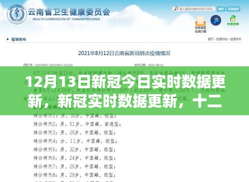 全球视角与影响回顾，十二月十三日新冠实时数据更新及分析