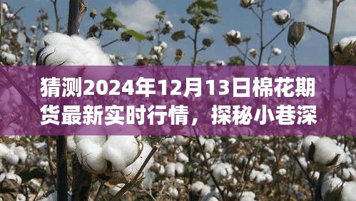 探秘小巷特色小店背后的棉花期货行情，预测与探索之旅（2024年12月13日最新行情）
