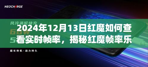 揭秘红魔游戏帧率乐园，探索实时帧率查看与游戏深度体验之旅（2024年12月13日指南）