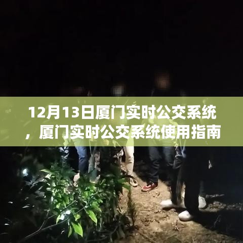 厦门实时公交系统使用指南，从初学者到进阶用户的全方位指南（12月13日更新）