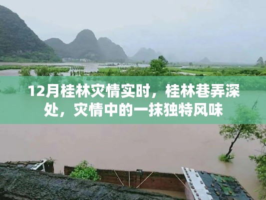 桂林灾情实时报道，巷弄深处独特风味展现