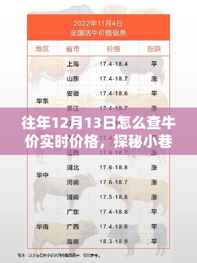 探秘往年12月13日牛价实时价格，小巷隐世店背后的奥秘揭秘