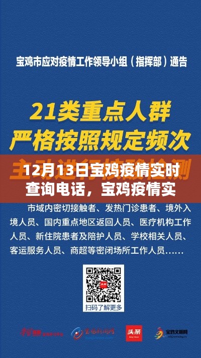 宝鸡疫情实时查询电话指南，初学者与进阶用户适用