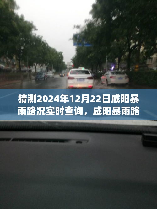 咸阳暴雨路况实时查询系统评测,精准预测未来交通信息,体验2024年12月22日咸阳暴雨路况新体验