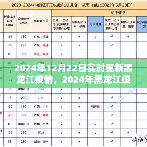 2024年黑龙江疫情实时更新报告，最新数据与信息汇总