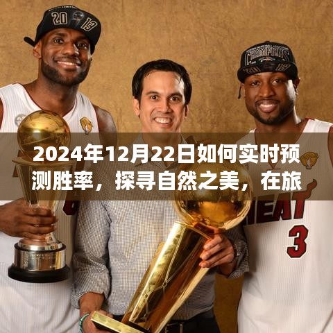 探寻自然之美，实时预测胜率与奇妙之旅的探寻之路