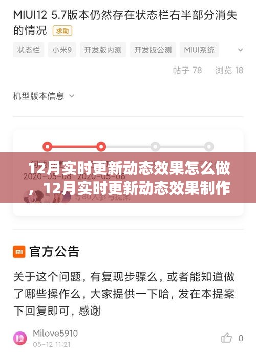 全面评测与介绍，12月实时更新动态效果制作指南