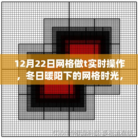 冬日暖阳下的网格时光，温馨T实时操作之旅