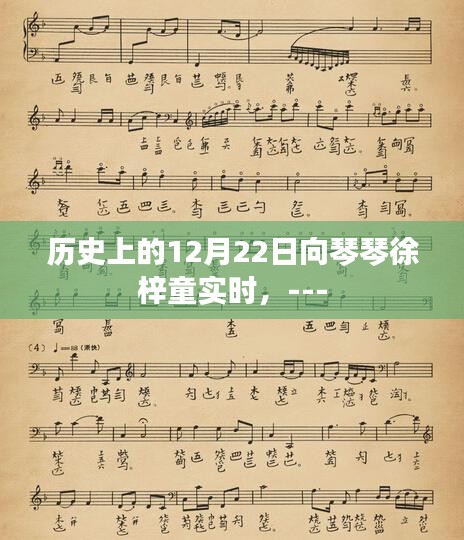 历史上的12月22日，向琴琴与徐梓童的实时记录