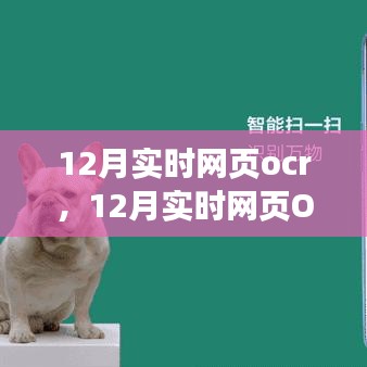 12月实时网页OCR技术的应用及其影响，深入探析某某观点