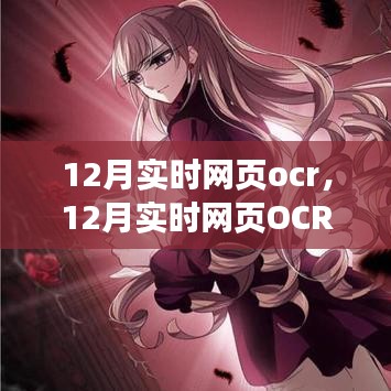 12月实时网页OCR技术的应用及其影响,深入探析某某观点