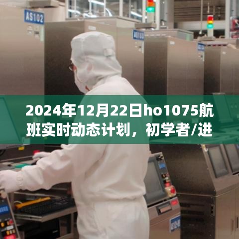 建议，掌握技巧，初学者与进阶用户适用的2024年12月22日HO1075航班实时动态计划查询指南