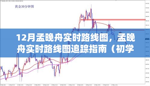 孟晚舟实时追踪指南,从初学者到进阶用户的全方位指南