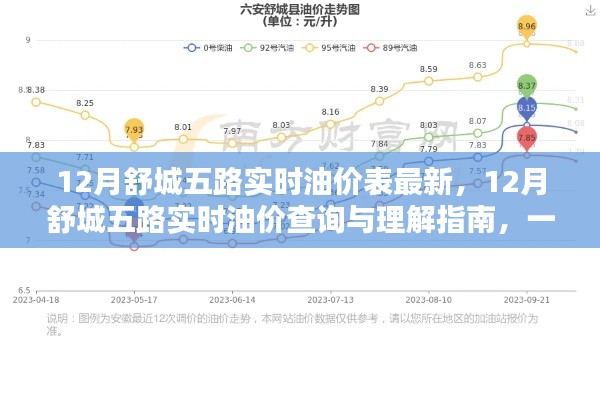 12月舒城五路实时油价最新动态，查询指南与油价信息掌握步骤