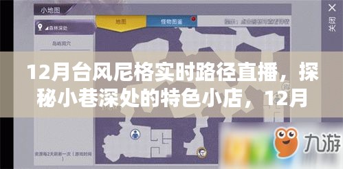 12月台风尼格路径直播，探秘小店特色与台风轨迹的独特风情