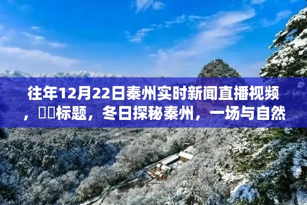 冬日秦州直播探秘，与自然美景的邂逅，寻找内心的宁静与平和
