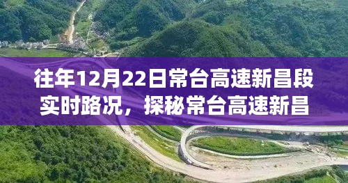 常台高速新昌段,实时路况与小巷美食探秘之旅