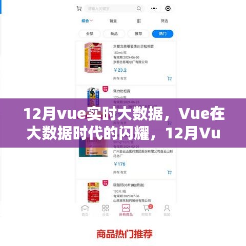 Vue在大数据时代的闪耀，12月Vue实时技术的兴起与影响