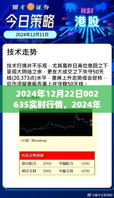 从新手到进阶，全面解析2024年12月22日实时行情指南，带你掌握股市动态