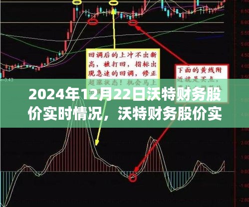 沃特财务股价实时分析，聚焦2024年12月22日走势