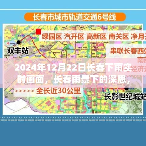 长春雨景下的深思,2024年12月22日实时雨景观察与思考