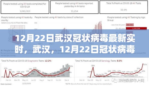 武汉冠状病毒最新实时，阴霾下的新篇章（12月22日）